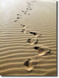 Footprints In The Sand.  Written by Mary Stevensen